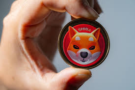 什么是柴犬币（SHIB）？ Shib币用途、价值及未来走势分析