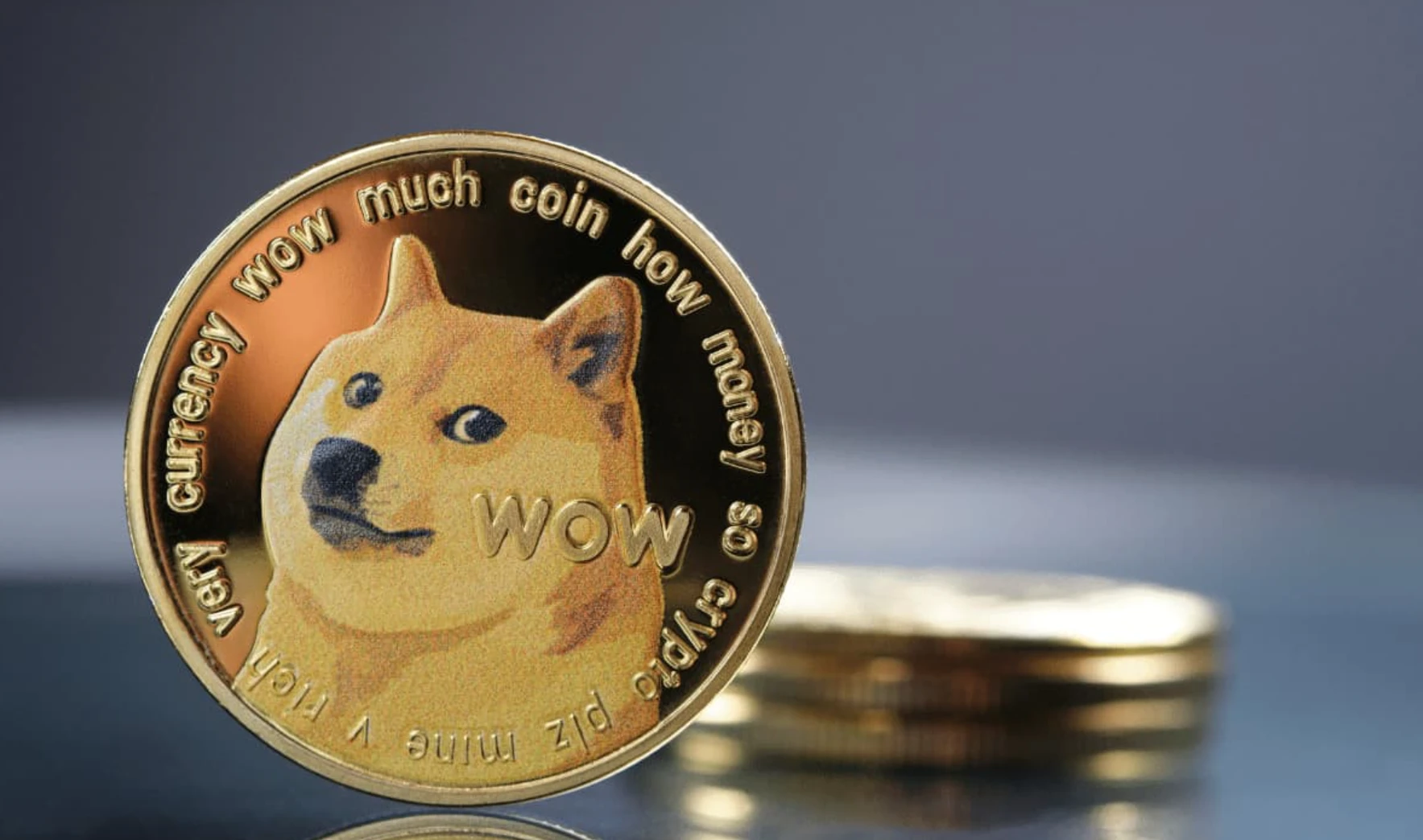 doge币前景咋样适合投资吗？其未来前景分析如何？