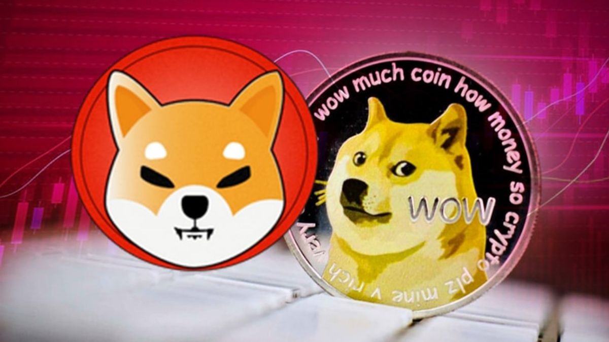 万花筒2021：模因币的崛起，从狗狗币（DOGE），柴犬（SHIB），婴儿狗